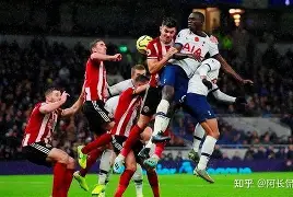 南宫登录入口 -里程碑夜纽卡斯尔战术微调，荷甲赛前刷纪录，底气十足，团队化学反应显著的简单介绍